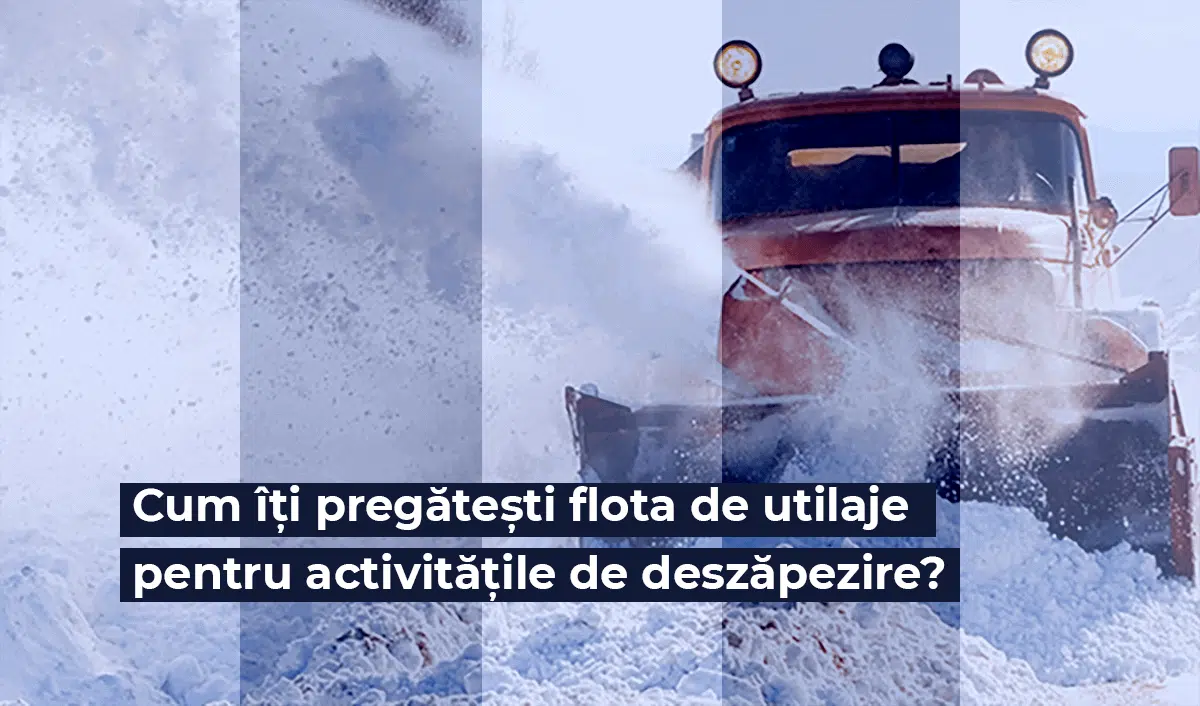 flota_urilaje_deszapezire_articol_blog